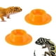 thumbnail image 1 of Cuencos para mezclar, tazones para sopa, bandeja de alimentación pequeña para mascotas gateantes hecha de material resistente y comedero para mascotas, tazón de comida para mascotas gateantes, bandeja, 1 of 6