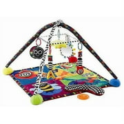 Sassy - Rock and Roll Developmental Gym