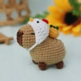 thumbnail image 1 of Capybara DIY Crochet Kit Beginner Starter Set With Yarn And Hook 15x10cm, 1 of 6
