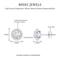 thumbnail image 5 of Rosec Jewels Lab Grown Diamond Halo Stud Earrings Round - EF-VS Quality - Ready to Gift for Anniversary, 18K White Gold, 5 of 7