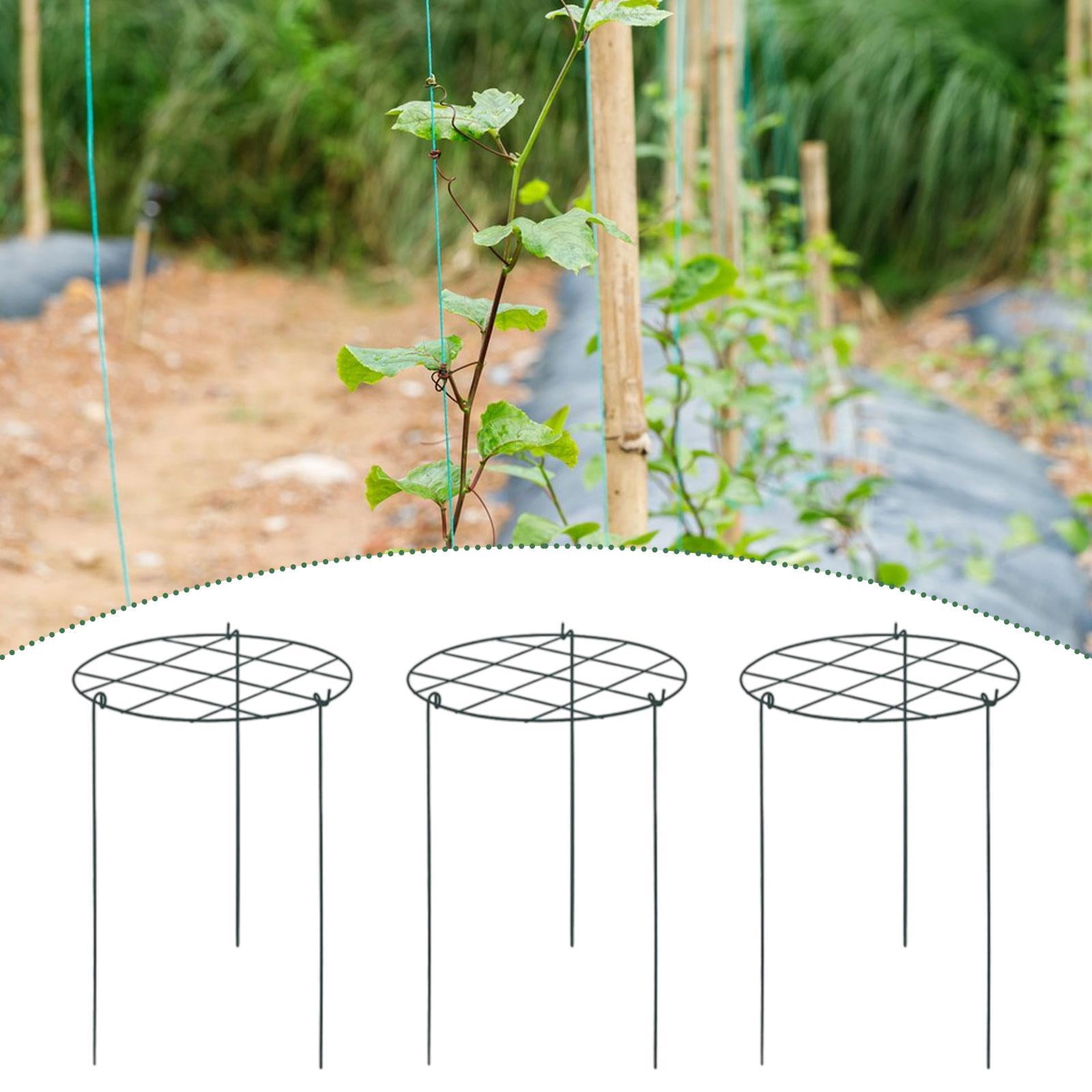 simhoa 3 Pieces Peony Cages and Supports Climbing Trellis Portable Metal Sturdy Garden Plant Support Stakes for Flower Outdoor Plant Grid