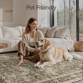 thumbnail image 6 of KUETH Modern 2x3 Area Rugs for Living Room, Non Slip Machine Washable Retro Rugs, Low Pile Chenille Print Rug for Bedroom, Dining Room, Home Office, 6 of 9