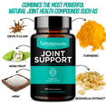 thumbnail image 6 of Phi Naturals Joint Support Supplement with Glucosamine, Chondroitin, MSM, Devil's Claw, Turmeric, Boswellia Capsules, 6 of 9