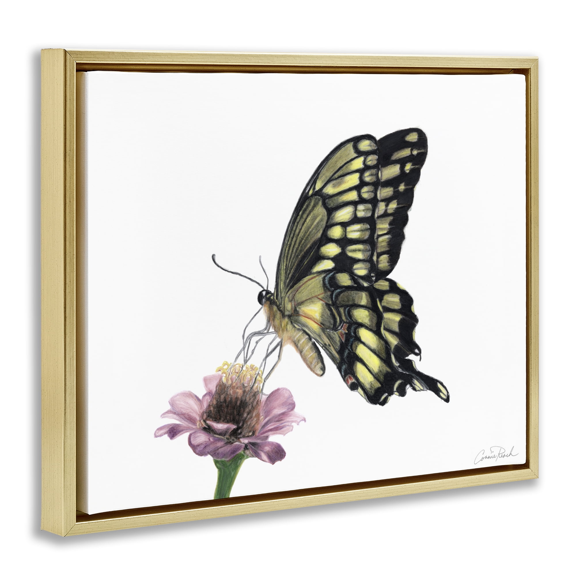 Stupell Industries Minimal Butterfly & Flower Animals & Insects Painting Gold Floater Framed Canvas Art Print Wall Art, 21 x 17