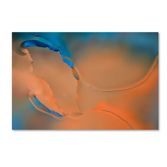 Trademark Fine Art 'Blue and Orange Flow' Canvas Art by Cora Niele