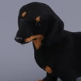 thumbnail image 3 of Las estatuas de mascota de juguete de animales modelo pretenden jugar manualidades para el cumpleaños de Navidad CUTICAT  Figura de acción para perros, 3 of 8