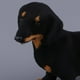 thumbnail image 3 of Figuras decorativas de perros para coche y decoración de mesa piezas de colección animales, 3 of 9