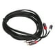 thumbnail image 1 of Cable de audio 2RCA macho a 2RCA macho chapado en oro doble para cable RCA para TV a amplificador 3 m/9,8 pies, 1 of 12
