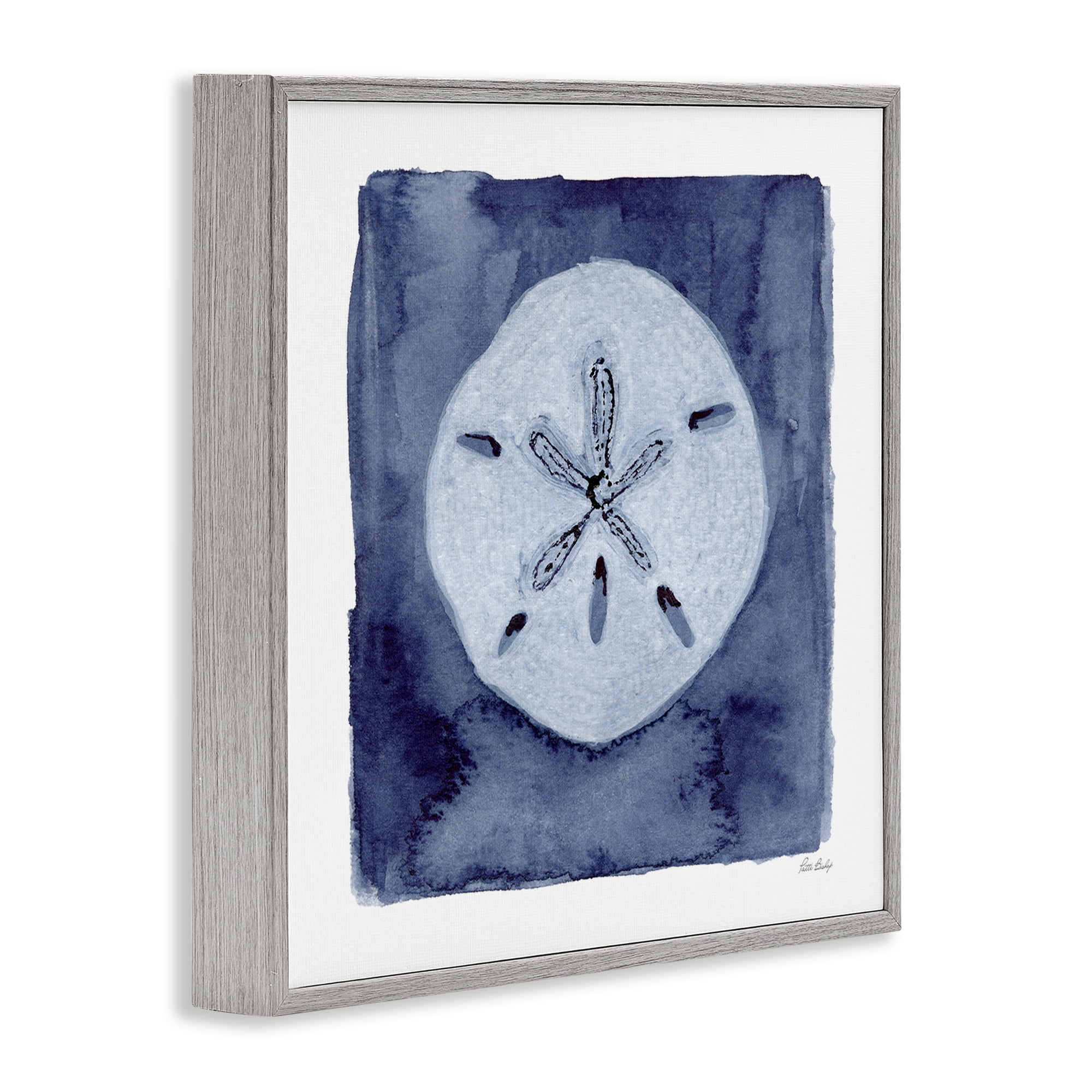 Stupell Industries White Sand Dollar on Indigo Gray Framed Giclee Art, design by Patti Bishop