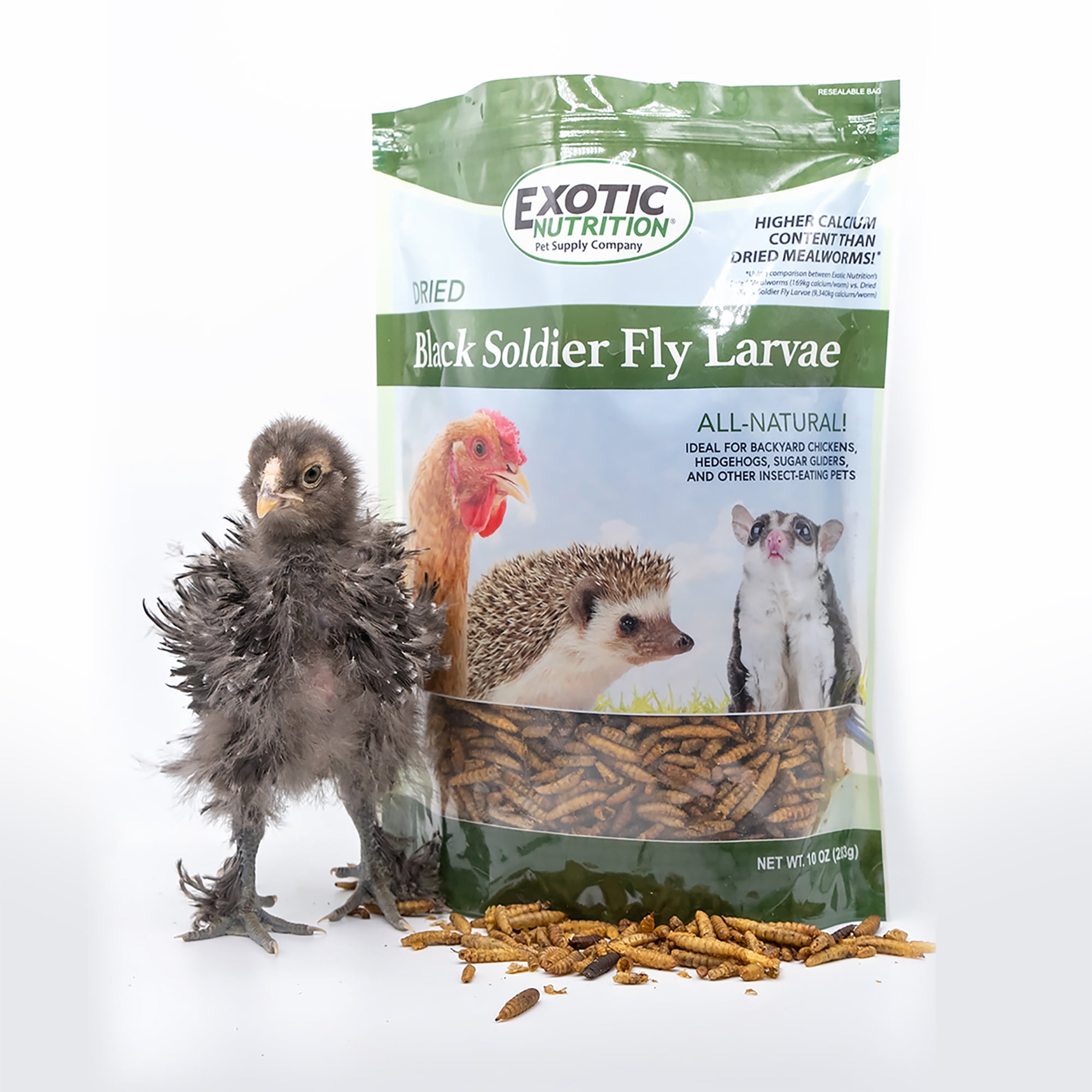 Exotic Nutrition Dried Black Soldier Fly Larvae 10 lb.