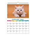 UAEBM Wall Calendar A4 Cute Pet Photo Wall Calendar Soft Style Pet