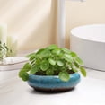 thumbnail image 4 of Dtchengua 7 Inch Ceramic Bonsai Pots with Drainage Hole, Shallow Planter for Indoor Outdoor, Round Planter, Cactus Pot, Office Decor for Plant Lovers, Blue, 4 of 6