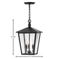 thumbnail image 7 of Hinkley Lighting - Three Light Hanging Lantern - Huntersfield - 3 Light Medium, 7 of 7