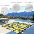 thumbnail image 3 of Outdoor Rug 3x5 ft Yellow Lemon Outdoor Large Area Rug Non Slip Rubber Summer Fruit Black Buffalo Plaid Front Door Mat RV Rug Camping Carpet Patio Outdoor Rugs for Backyard Balcony Deck Porch Indoor, 3 of 9