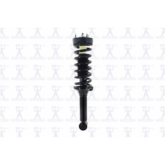 Suspension Strut and Coil Spring Assembly