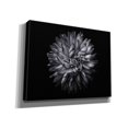 thumbnail image 2 of Epic Graffiti 'Backyard Flowers In Black And White 20' by Brian Carson, Giclee Canvas Wall Art, 34"x26", 2 of 8