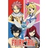 "Fairy Tail - Anime / Manga TV Show Poster (Character Grid) (Size: 24"" x 36"")"