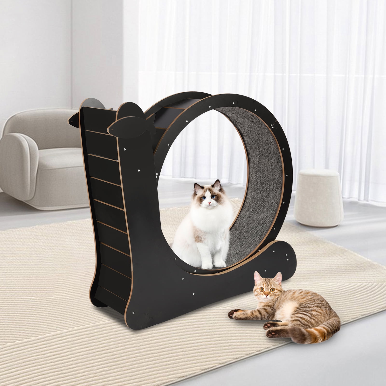 Loyalheartdy Round HamsterWheel Style Cat Exercise Wheel, Large Cat