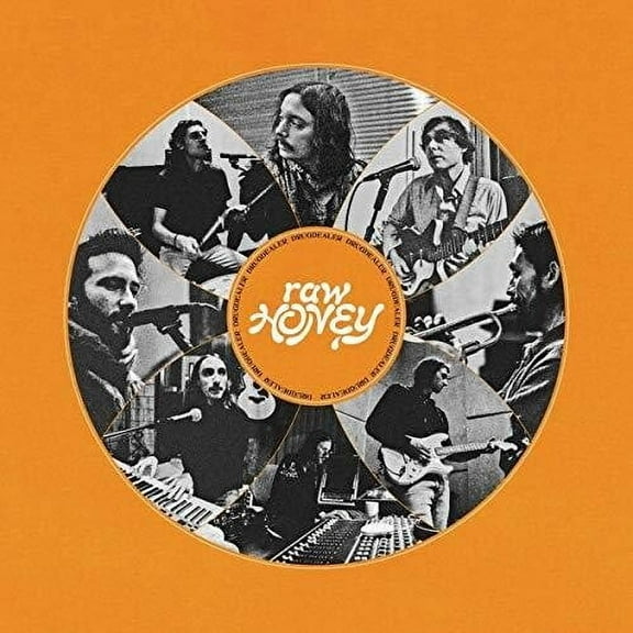 Drugdealer - Raw Honey - Music & Performance - CD