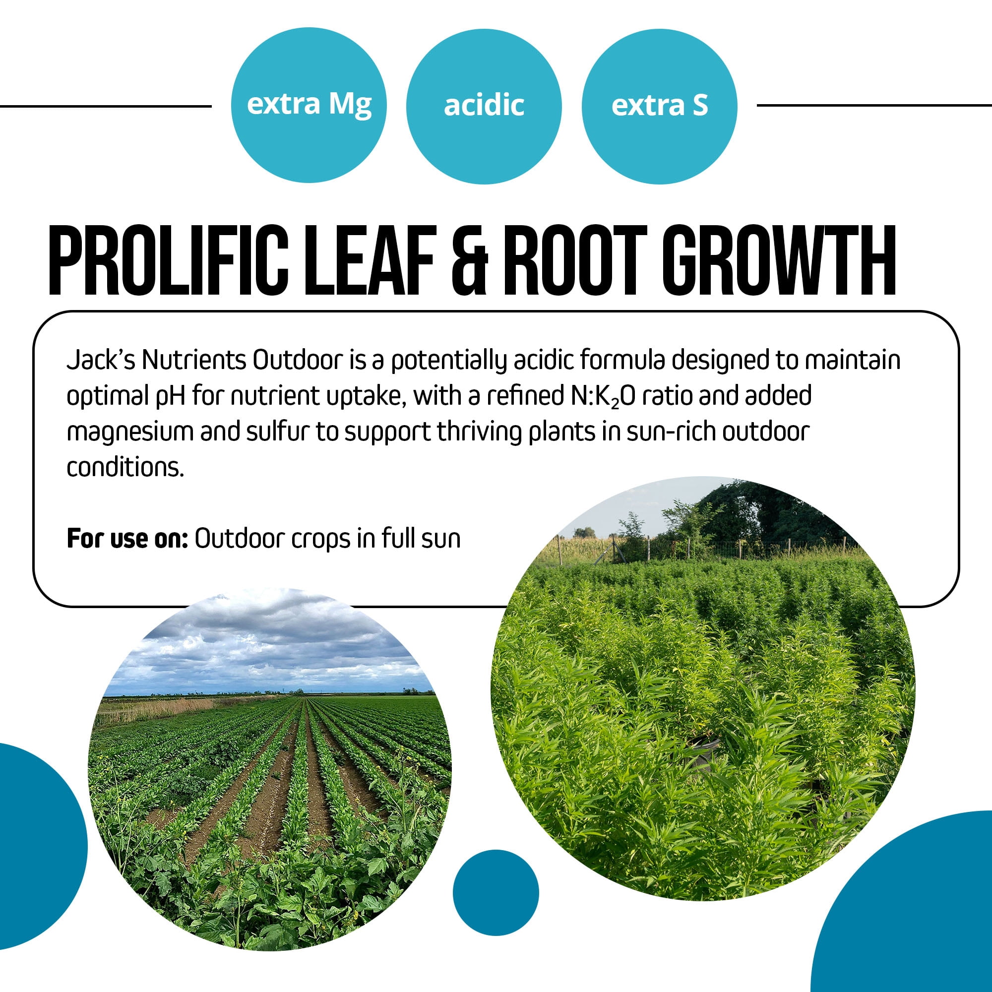 Jack's Nutrients 18-8-23 Outdoor Water-Soluble Fertilizer, 25lbs – Promotes Leaf Growth and Strong Roots
