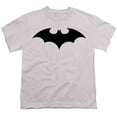 thumbnail image 2 of Batman Hush Logo 2002 Kids T Shirt (Small) for Youth Toddler Boys and Girls, Silver, 2 of 5