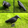 thumbnail image 3 of Simulation Black Crow Decoy Shooting Hunting Decoy Plastic Landscape Garden Decoration Household Supplies, 3 of 9