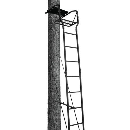 Big Game 15' Basic Ladderstand