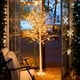 thumbnail image 1 of Lámpara de pie LED con forma de árbol de abedul en tamaños de 121.92cm, 152.4cm y 182.88cm, un árbol de abedul artificial adornado con luces, ideal para decoración del hogar, bodas,, 1 of 18