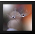 thumbnail image 2 of Nan, Juliana 21x20 Black Modern Framed Museum Art Print Titled - Immortal Love.., 2 of 5