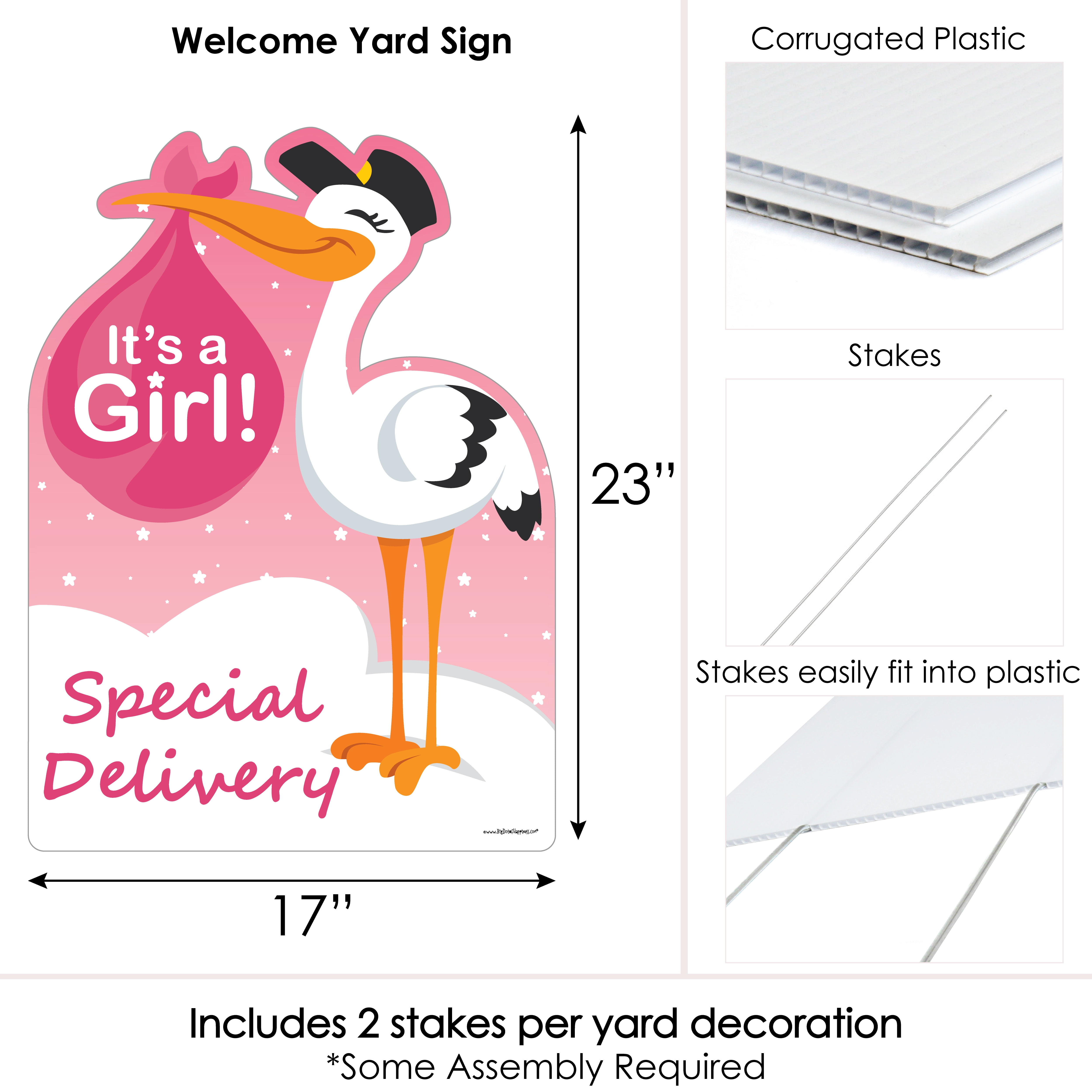 Big Dot of Happiness Girl Special Delivery - Baby Shower Decorations - Pink It's A Girl Stork Baby Announcement & Welcome Yard Sign