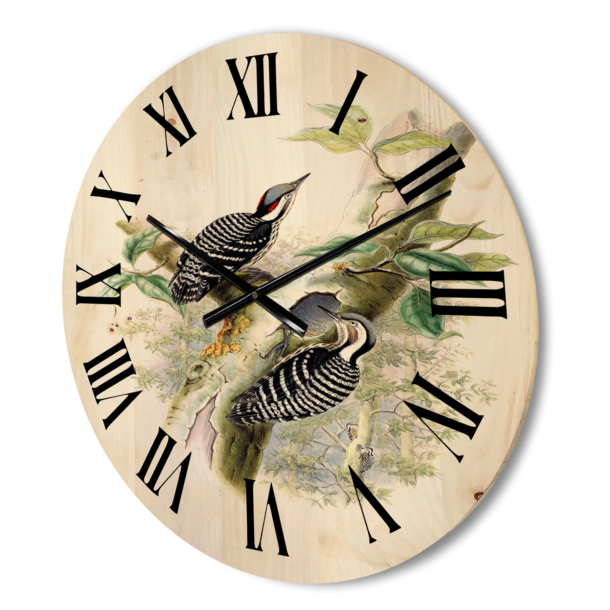 Designart 'Ancient Birds In The Wild V' Traditional Wood Wall Clock
