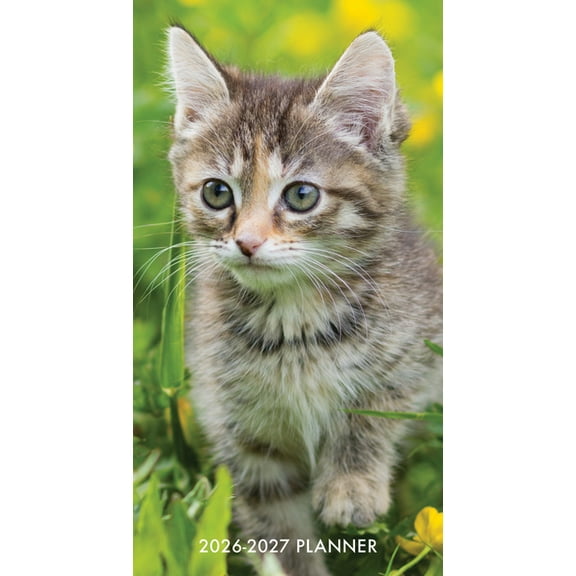 Cute as a Kitten 2-Year 2026-27 3.5 X 6.5 Monthly Pocket Planner, (Paperback)