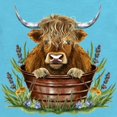 thumbnail image 2 of CafePress - Highland Cow Sitting In A Metal - Cute Infant Bodysuit Baby Romper - Size Newborn - 24 Months, 2 of 3