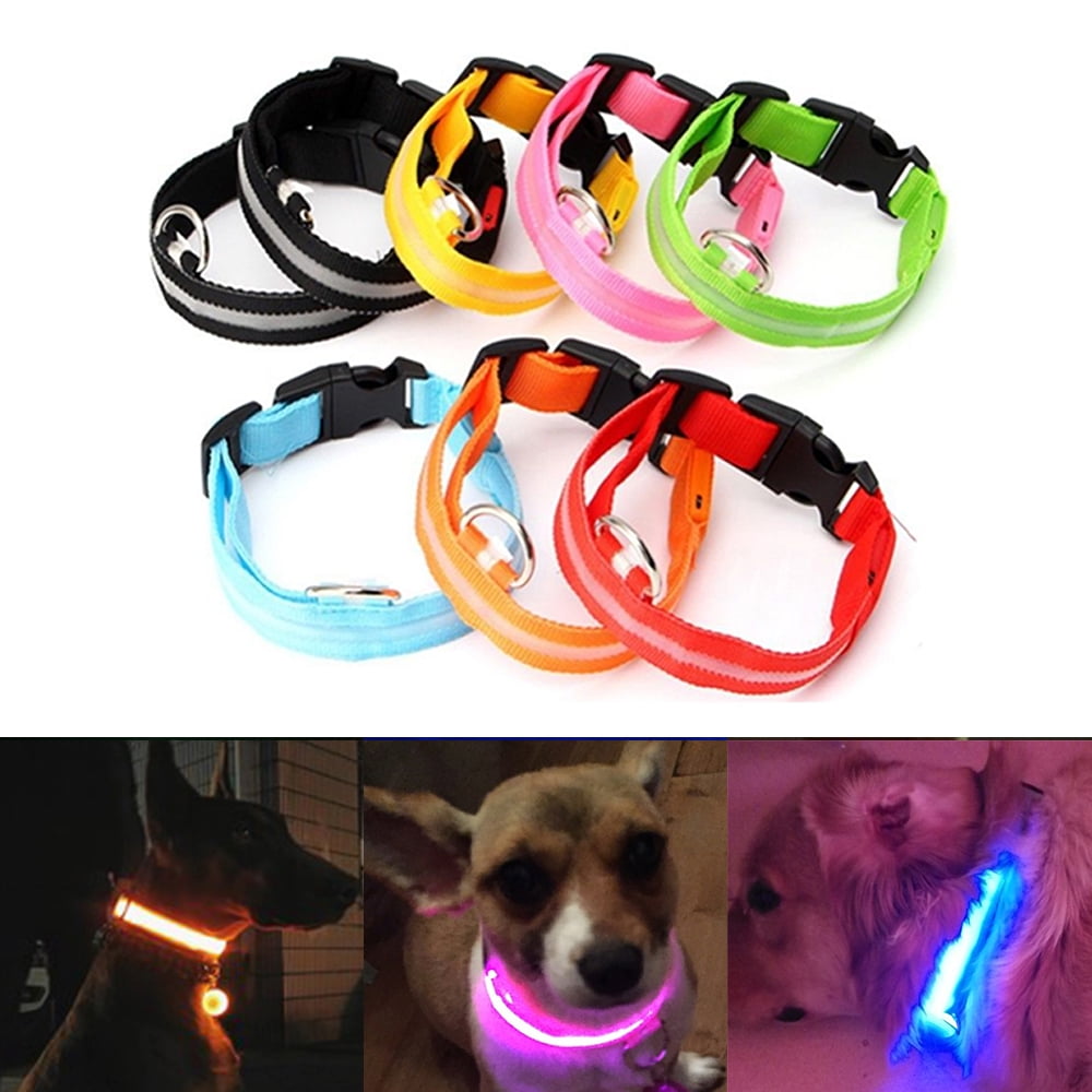 Dog collar light walmart Clearance