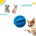 thumbnail image 4 of Pelota 5cms Para Perro Premios Y Limpieza De Dietes y Encias celeste 6.49 pulg Poli Pets PP-PP5PK, 4 of 6