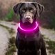 thumbnail image 3 of Collar de luz LED para perro mascota, Collar luminoso antipérdida para perro, Collar para perro recargable por USB, 3 of 5