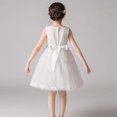 thumbnail image 4 of Robe de Princesse pour Fille - Petite Robe Mignonne et Exquise, Robe de Fête en Tulle, 4 of 5