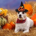 thumbnail image 5 of Halloween Pet Hat For Dogs And Cats Cartoon Design Perfect For Festive Celebrations And Costumes Comfortable Polyester Material Ideal For Trick Or Treating And Events, 5 of 5