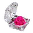 thumbnail image 3 of Caja para anillos, soporte acrílico para anillos de boda, caja de almacenamiento, organizador de exhibición para mamá, novia, ceremonia de propuesta de aniversario Rosa roja, 3 of 8