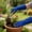Blue, variant on Elbow Length Leather Gardening Gloves, Thorn Proof Long Gauntlet Gloves, Heavy Duty Protective Gloves for Women Rose Pruning, Planting and Yard Work