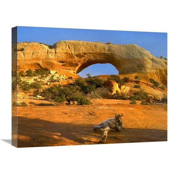 18 x 24 in. Wilson Arch with A Span of 91 ft. & Height of 46 ft., Made of Entrada Sandstone, Utah Art Print - Tim Fitzharris