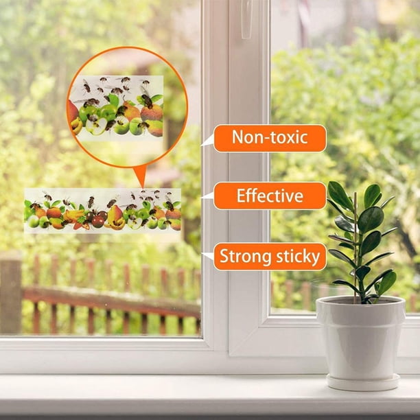 10x pegamento fuerte para moscas, trampa para insectos, pegatina para ventana, moscas, atrapa insectos (colorido) DQrwqpou Libre de BPA