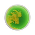 thumbnail image 4 of Suelos sensoriales líquidos, azulejos decorativos, juguetes de aprendizaje temprano, suelos sensoriales líquidos, estera decorativa para niños, regalo amarillo y verde Macarena Líquido Los Azulejos, 4 of 8