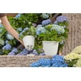thumbnail image 5 of Mainstays Basic Bell Planter 6 inch White, Classic Design with Attached Tray Durable Weather Resistant Matte Finish, 5 of 5