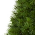 thumbnail image 6 of Nearly Natural 6.5ft. Green Scotch Pine Artificial Christmas Tree with 350 Clear LED Lights, 6 of 8