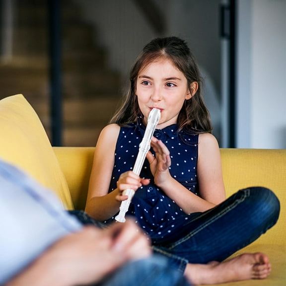 MOKKHNB Recorder Cleaning Rod Flute Instrument Transparent Resin 1 Set