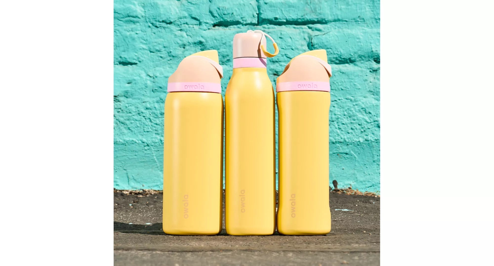 Owala FreeSip Insulated 24 oz Spring Fling Stainless Steel Water Bottle