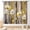 Daisy-01, variant on Rustic Wooden Curtains, Farmhouse Gray Barn Door Country Cottage Western Barnwood Garage Printed Blackout Window Drapery Treatments for Kitchen Living Room Bedroom Cafe, 55"x63" Inch