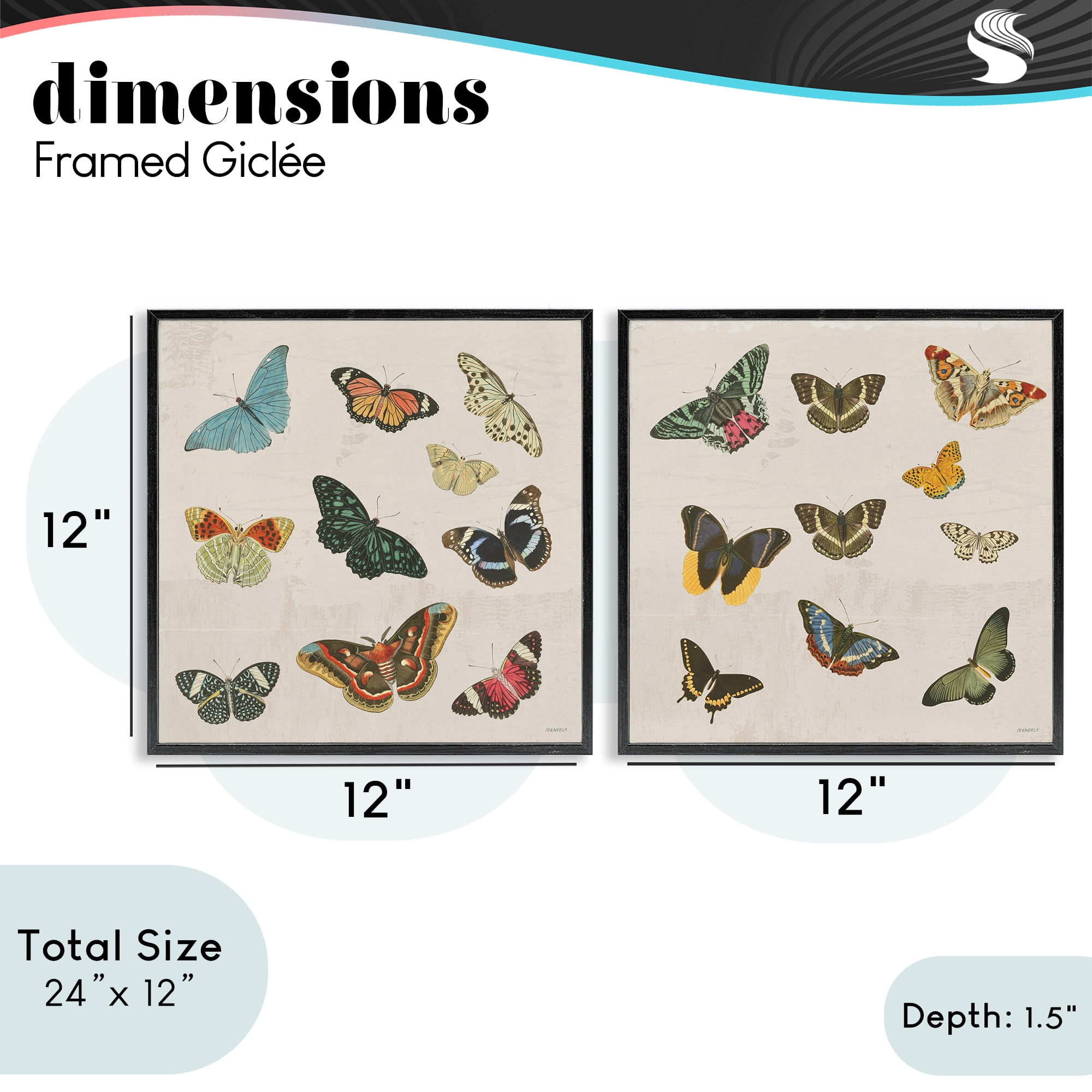 Stupell Industries Collection of Vintage Butterflies 2 Piece Black Framed Giclee Art Set, design by Dan Meneely