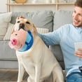 thumbnail image 3 of Buitifor Active Moving Pet Plush Toy, Interactive Dog Toy, Talking Movable Dog Toy, Electronic Dog Toy, Bounce Boredom Toy For Cats And Dogs, 3 of 4